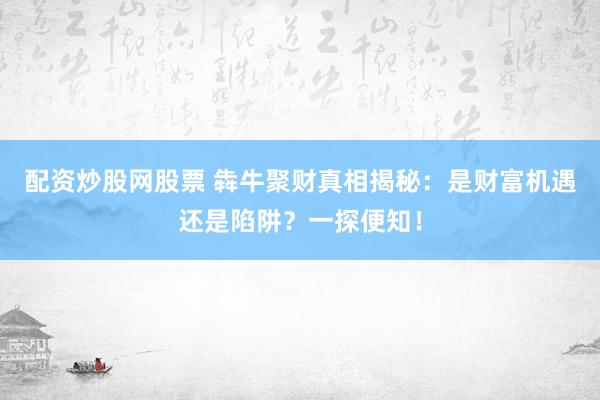 配资炒股网股票 犇牛聚财真相揭秘：是财富机遇还是陷阱？一探便知！