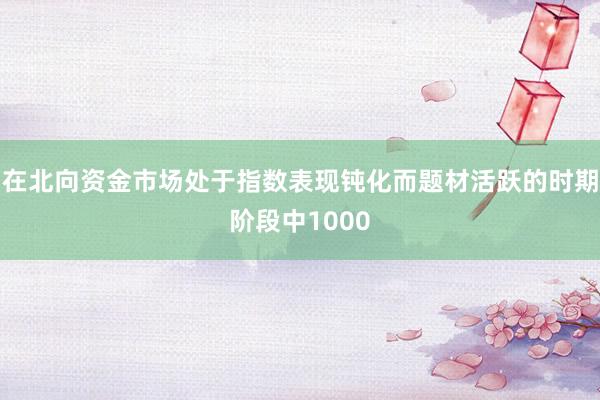 在北向资金市场处于指数表现钝化而题材活跃的时期阶段中1000