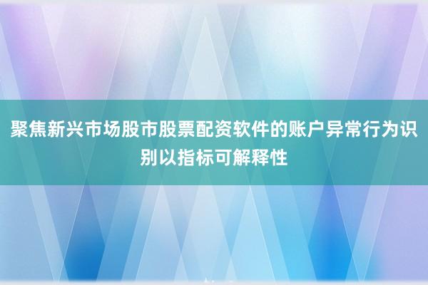 聚焦新兴市场股市股票配资软件的账户异常行为识别以指标可解释性
