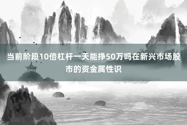 当前阶段10倍杠杆一天能挣50万吗在新兴市场股市的资金属性识