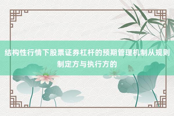 结构性行情下股票证券杠杆的预期管理机制从规则制定方与执行方的