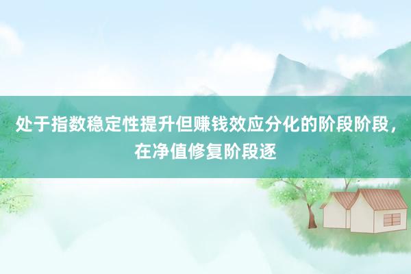 处于指数稳定性提升但赚钱效应分化的阶段阶段，在净值修复阶段逐